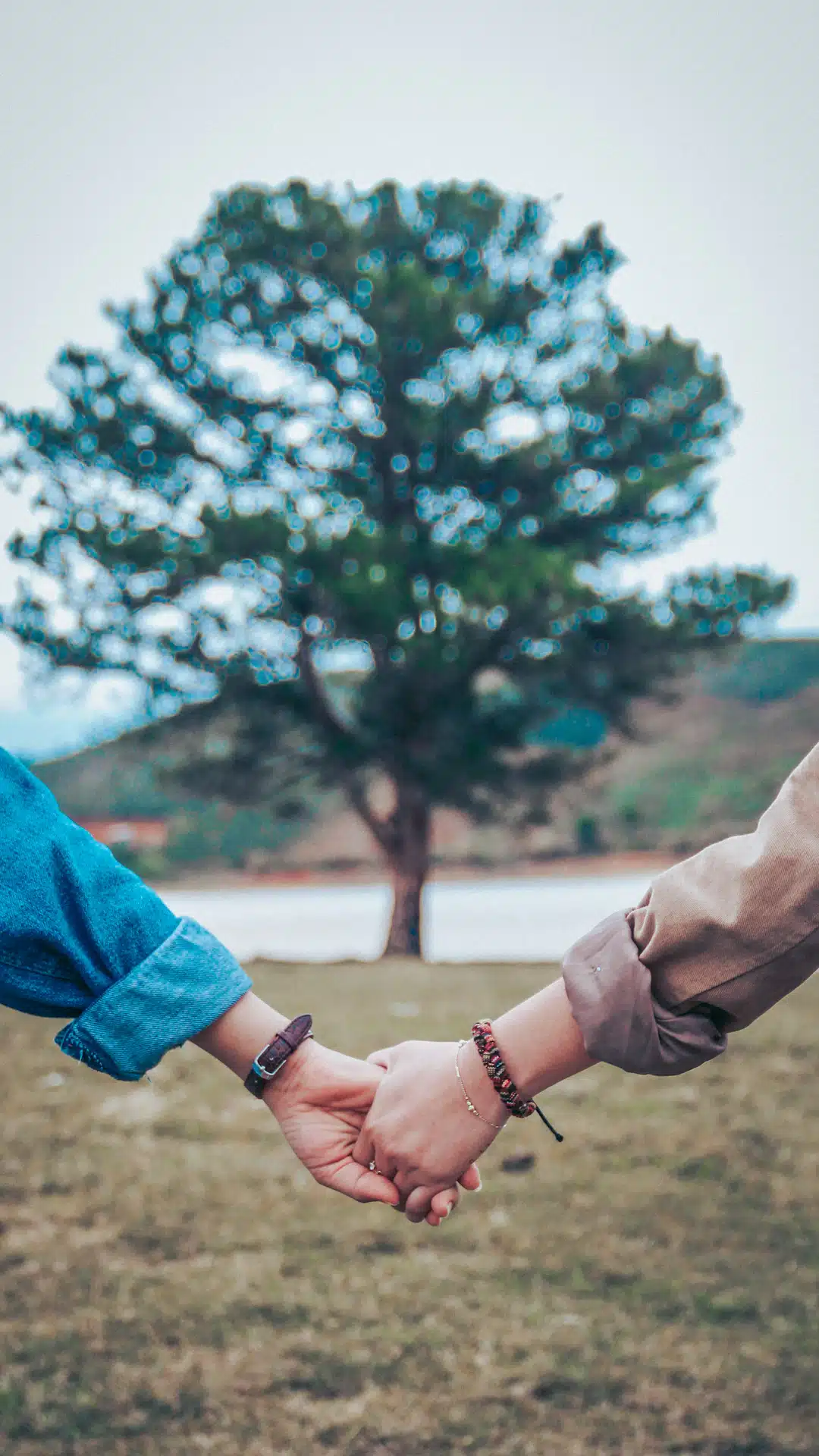 two persons holding hands
